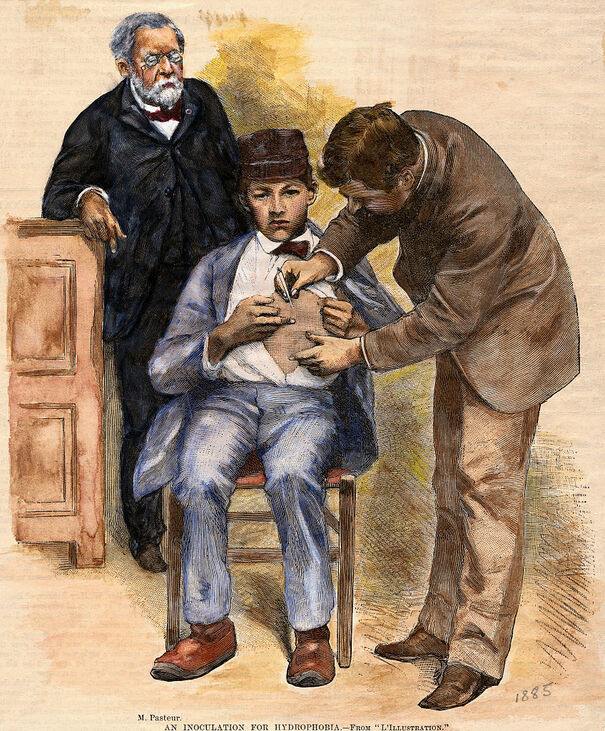 selyemsál vakcina Louis Pasteur pasztőrözött tej