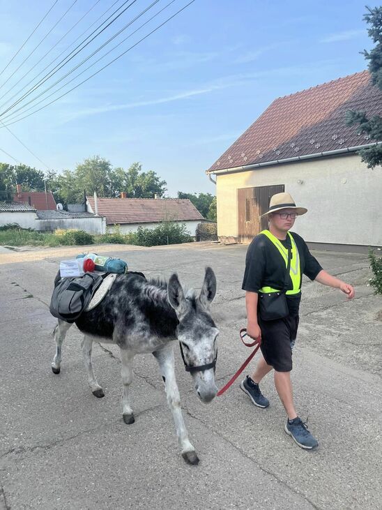 szamár Ásotthalom Koszonits Patrik szamárrezervátum Ott vagyunk már?