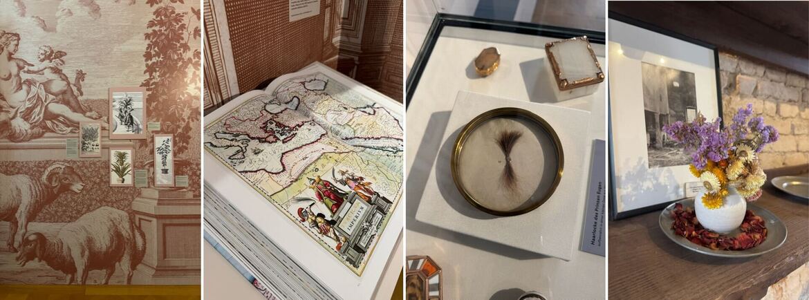 történelem kert Schloss Hof Savoyai Jenő Habsburgok