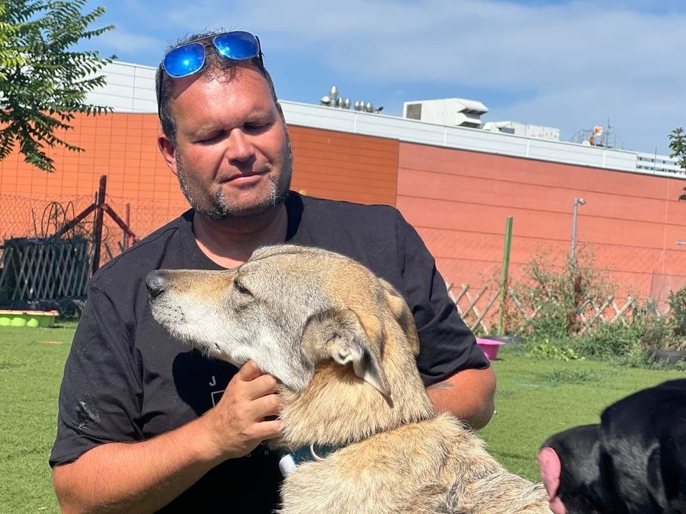 Amikor az orr lát: hogyan élhet teljes életet egy vak kutya?