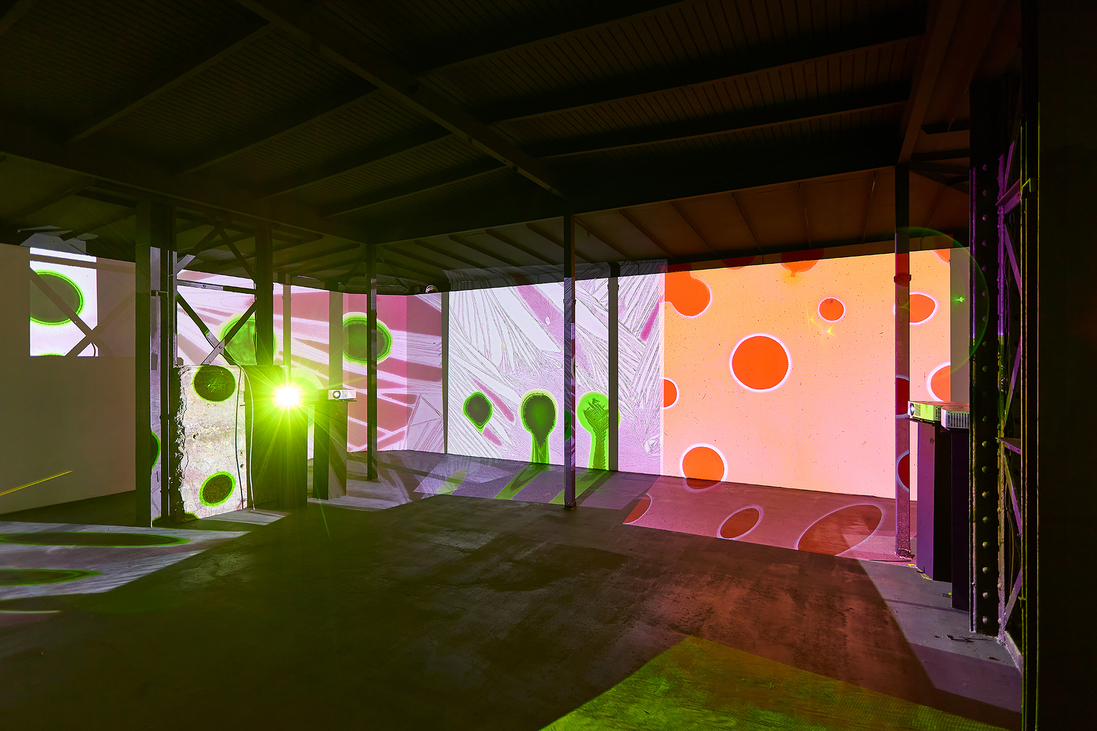 Előbb az öko, aztán az ego – Erre tanít a Light Art Museum legújabb kiállítása