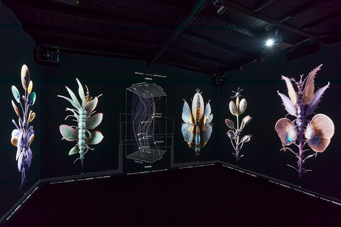 Előbb az öko, aztán az ego – Erre tanít a Light Art Museum legújabb kiállítása