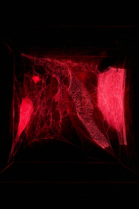 Előbb az öko, aztán az ego – Erre tanít a Light Art Museum legújabb kiállítása