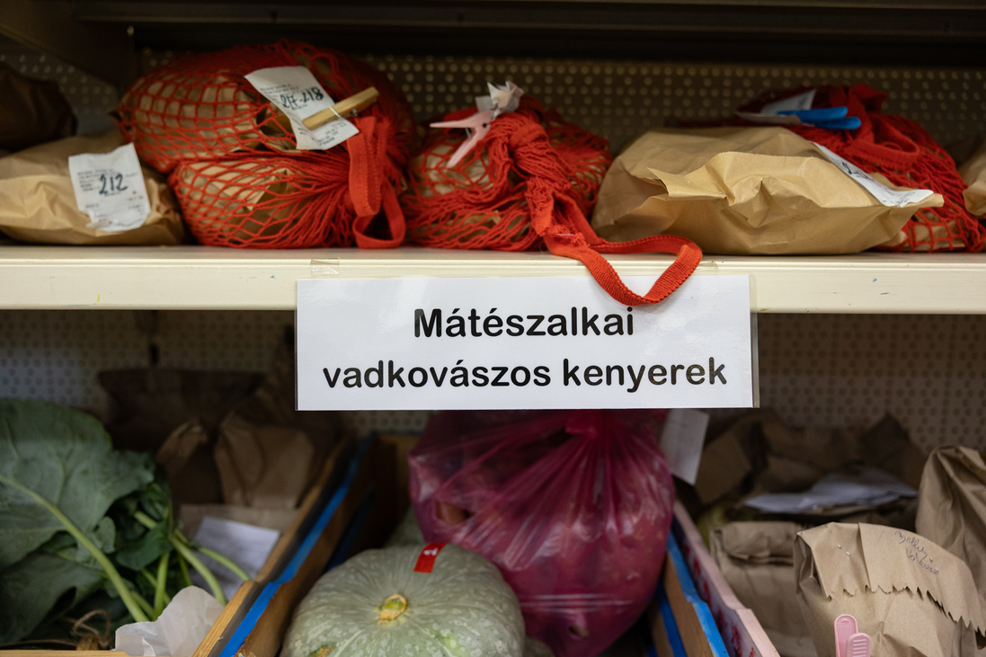 „Minden hatékonyabban működik, ha behívod az embereket a folyamatokba” – A nyíregyházi kosárközösség története