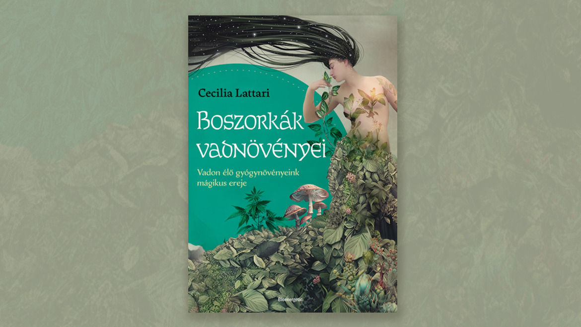 Boszorkányságot a karácsonyfa alá? Ó, igen!