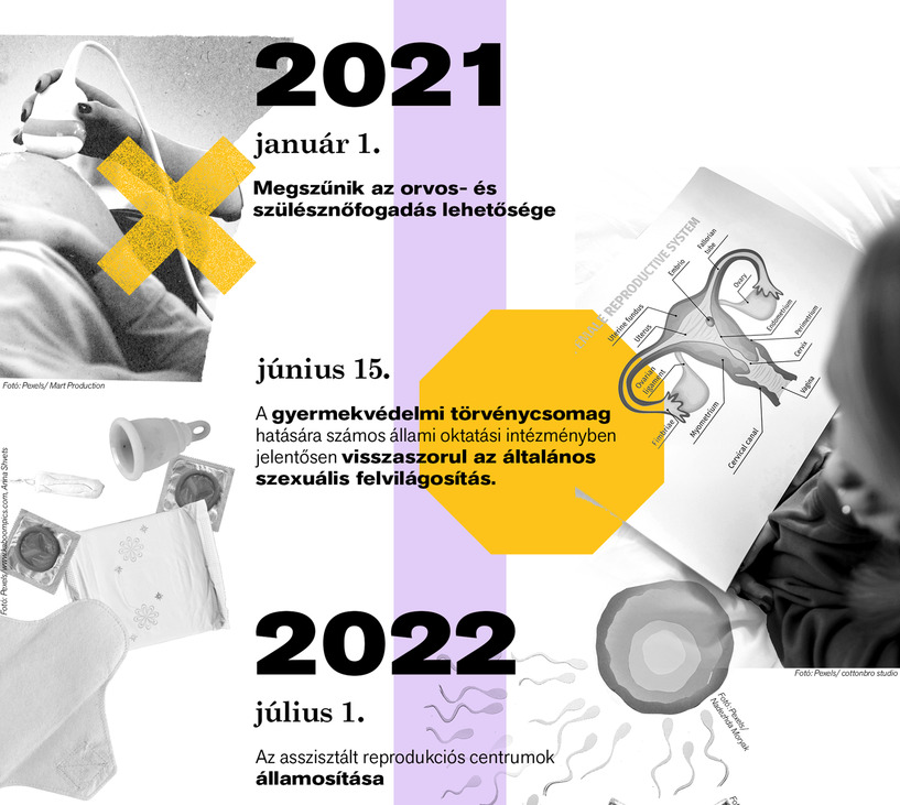 Látlelet: Reprodukciós ügyek és egészség 2010–2026 – Itt kell élned, hogy elhidd