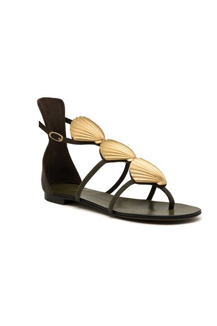 Giuseppe Zanotti