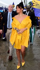 2017 novemberében egy kanári sárga Hellessy ruhában
