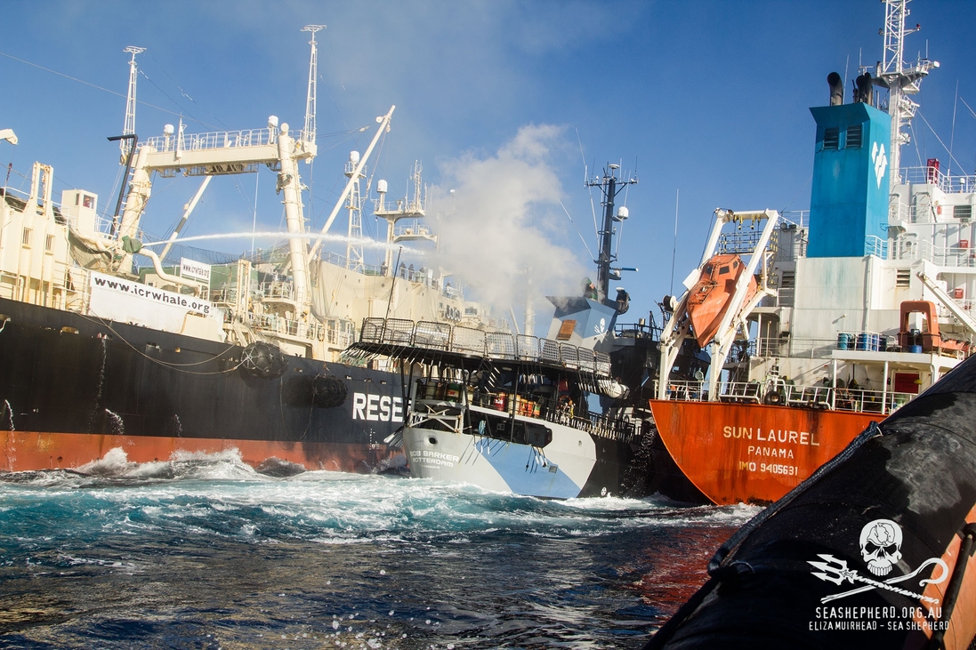 A Nisshin Maru támadása a Sea Shepherd hajói ellen 2013. február 20